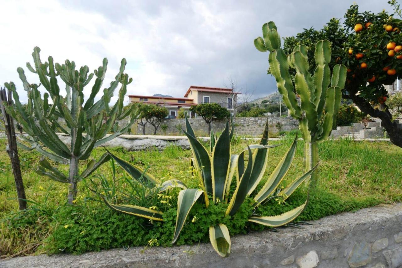 Il Mulino Country Resort Trebisacce Bagian luar foto